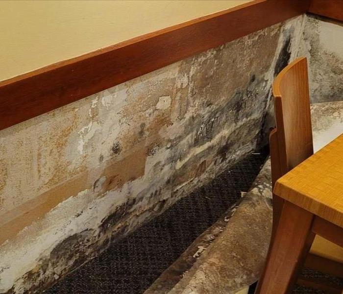 Picture shows mold on walls that needs to be removed