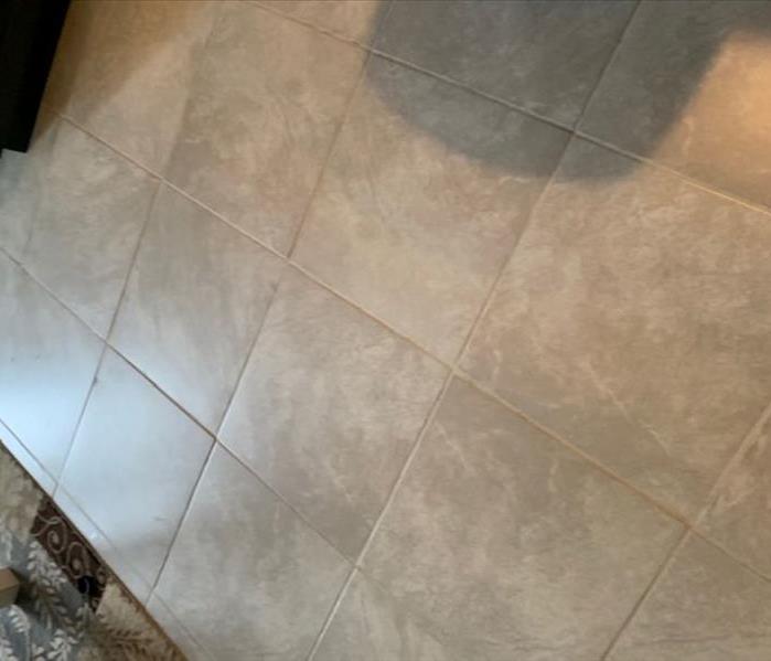 The tile grout has been cleaned and restored to its original coloe