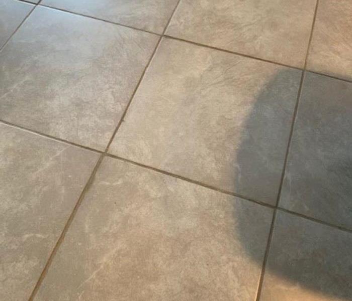 The tile grout is dirty and discolored