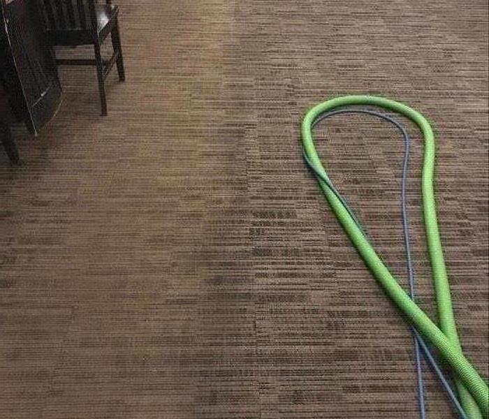 Commercial carpet cleaning in action.