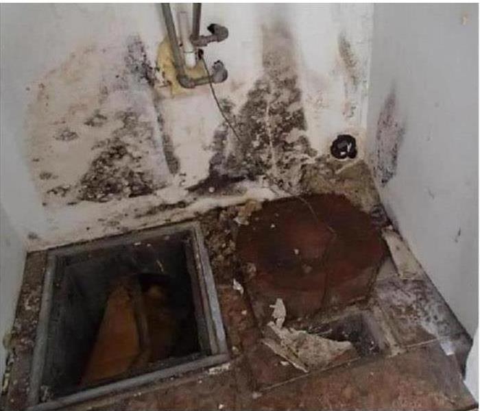 Broken pipe causes mold growth